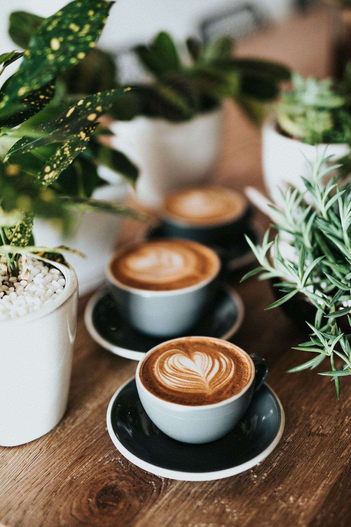 Flat whites on a table with plants
